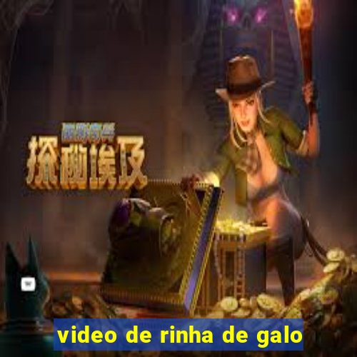 video de rinha de galo